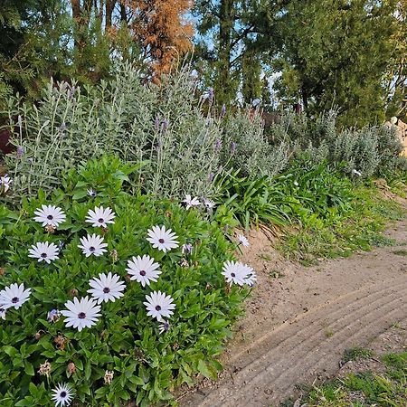 Gowrie Agapanthus Apartamento Singleton Exterior foto
