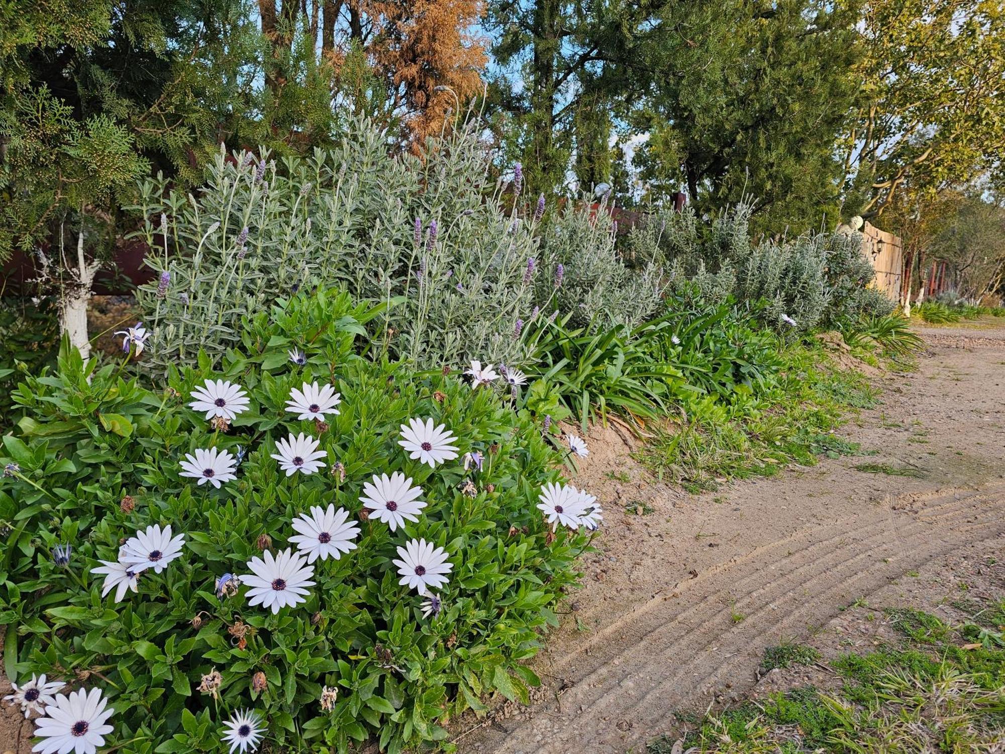 Gowrie Agapanthus Apartamento Singleton Exterior foto